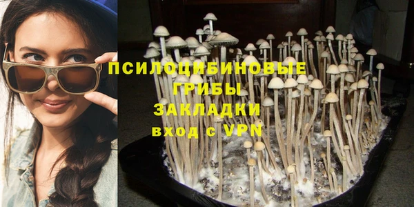 молекула духа Абинск
