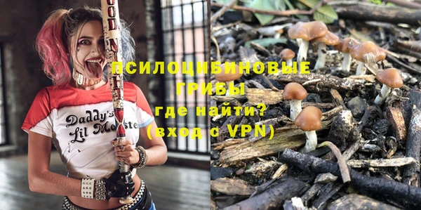 молекула духа Абинск