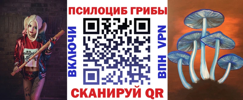 Псилоцибиновые грибы GOLDEN TEACHER  где найти   Дубовка 
